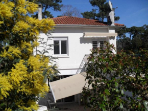 Villa Royan, 6 pièces, 9 personnes - FR-1-494-132